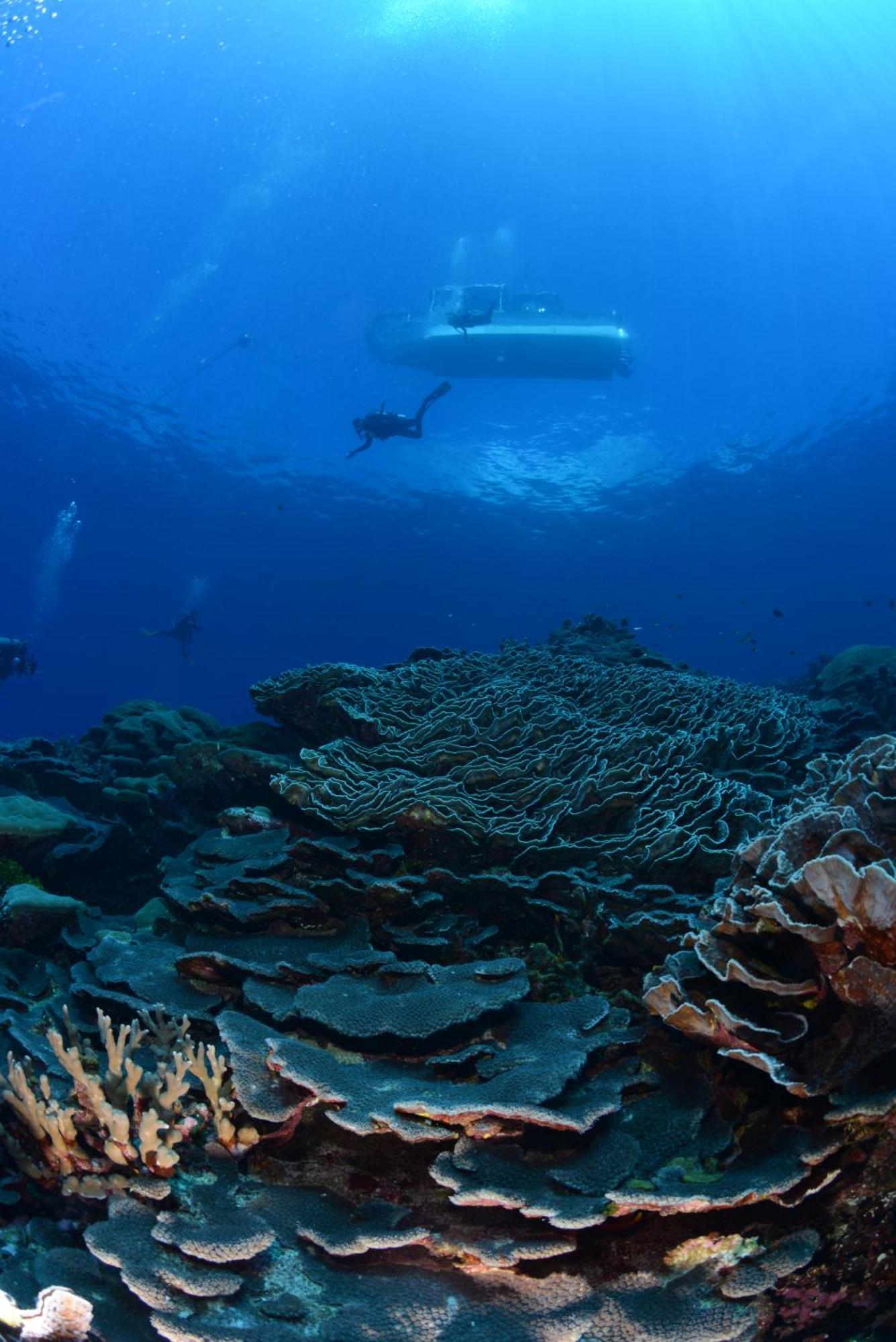 Hotel Island Hopper Yepan Exterior foto